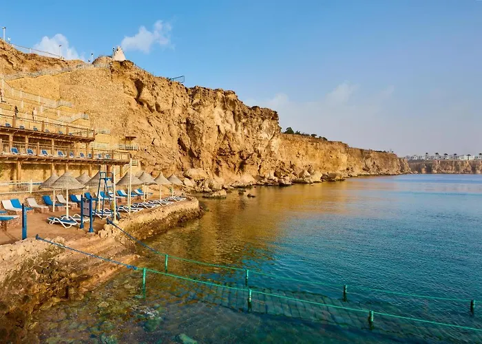 Dreams - Sheikh Resort