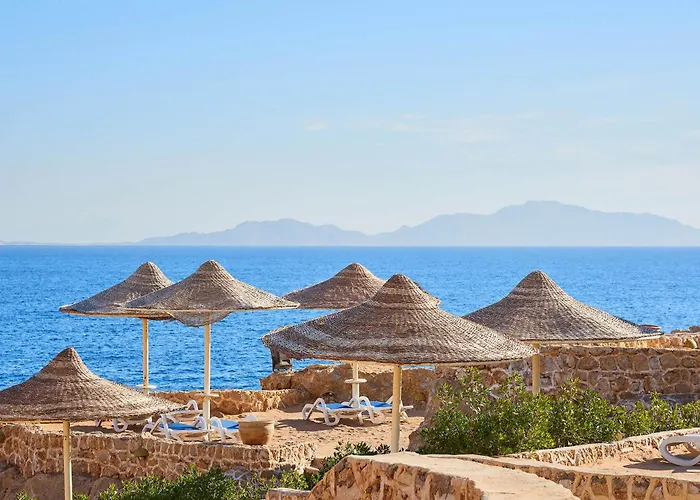 Dreams - Sheikh Resort 5*