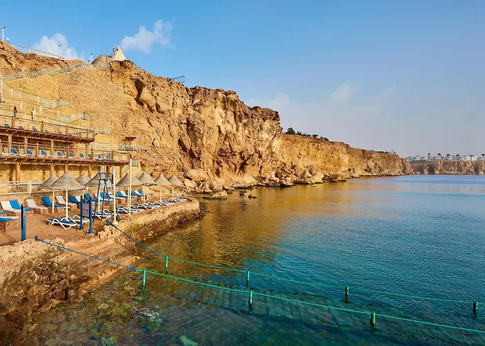 Resort Dreams - Sheikh